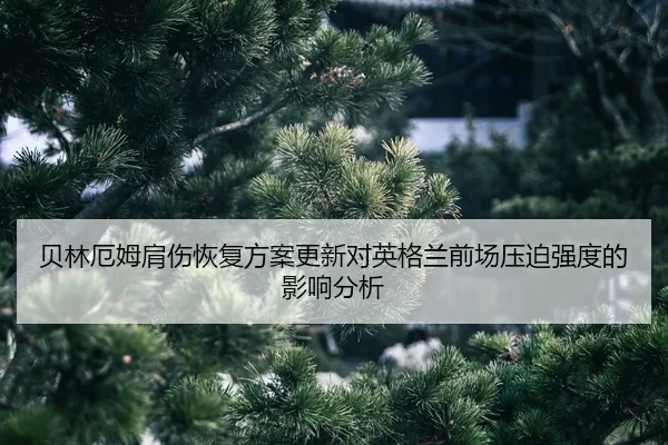 bei-lin-e-mu-jian-shang-hui-fu-fang-an-geng-xin-dui-ying-ge-lan-qian-chang-ya-po-qiang-du-de-ying-xiang-fen-xi-2-167.jpg